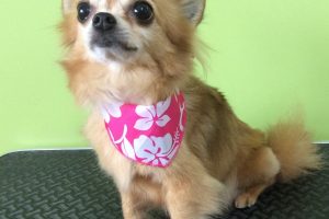 ８月のお友達☆