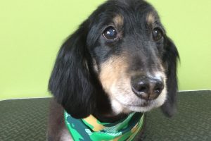 ８月のお友達☆