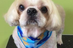 ８月のお友達☆