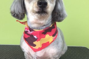 ８月のお友達☆