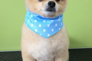 ８月のお友達☆