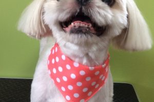 ８月のお友達☆