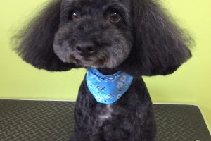 ８月のお友達☆