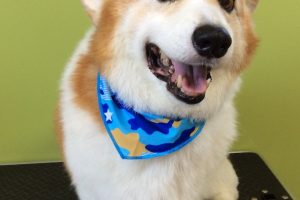 ８月のお友達☆