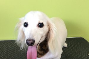 ８月のお友達☆