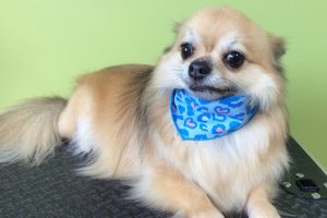 ８月のお友達☆