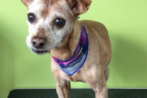 ８月のお友達☆