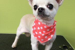 ８月のお友達☆