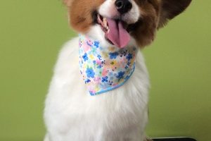 ８月のお友達☆