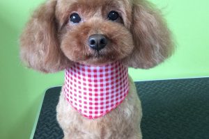 ８月のお友達☆