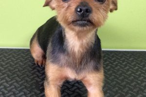 ８月のお友達☆