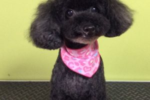 ８月のお友達☆