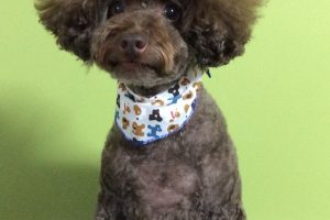 ８月のお友達☆