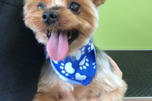 ８月のお友達☆