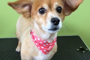 ８月のお友達☆