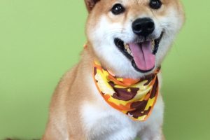 ８月のお友達☆