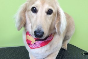 ８月のお友達☆