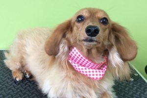 ８月のお友達☆