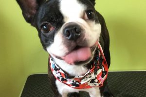 ８月のお友達☆