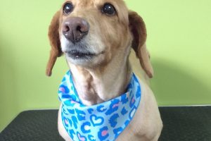 ８月のお友達☆