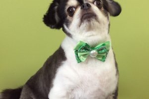 ８月のお友達☆