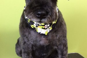 ８月のお友達☆