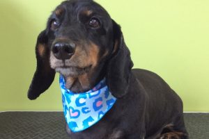 ８月のお友達☆