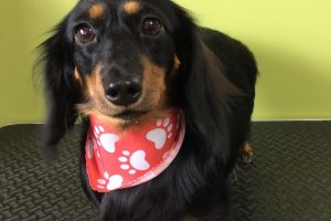 ８月のお友達☆