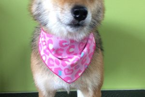 ８月のお友達☆