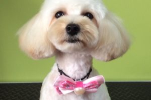 ８月のお友達☆