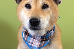 ８月のお友達☆