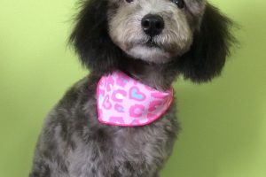 ８月のお友達☆