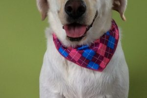 ８月のお友達☆