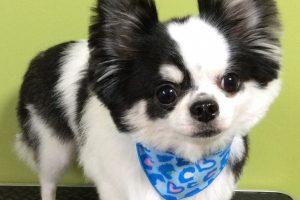 ８月のお友達☆