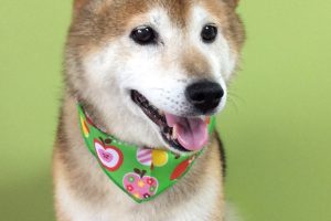 ８月のお友達☆