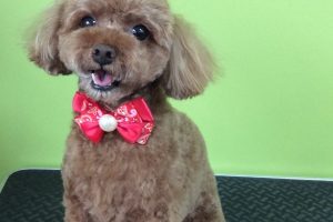 ８月のお友達☆