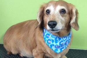 ８月のお友達☆