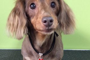 ８月のお友達☆