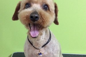 ８月のお友達☆