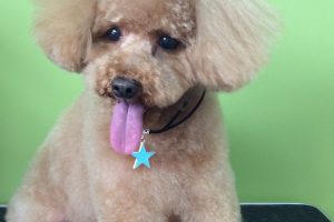 ８月のお友達☆