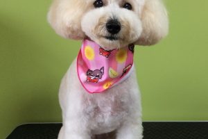 ８月のお友達☆