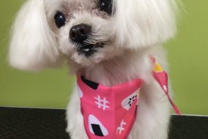 ８月のお友達☆