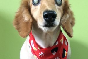 ８月のお友達☆