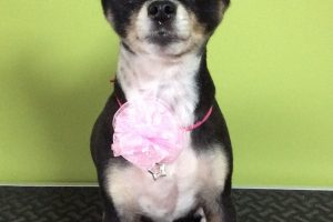 ８月のお友達☆