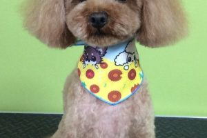 ８月のお友達☆