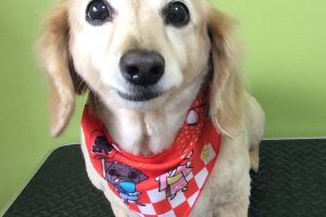 ８月のお友達☆