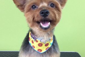 ８月のお友達☆