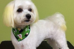 ８月のお友達☆