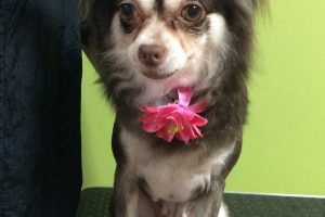 ８月のお友達☆