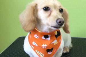 ８月のお友達☆